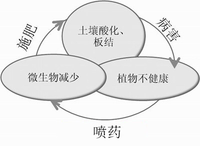 化肥不等于科學，請客觀評判！